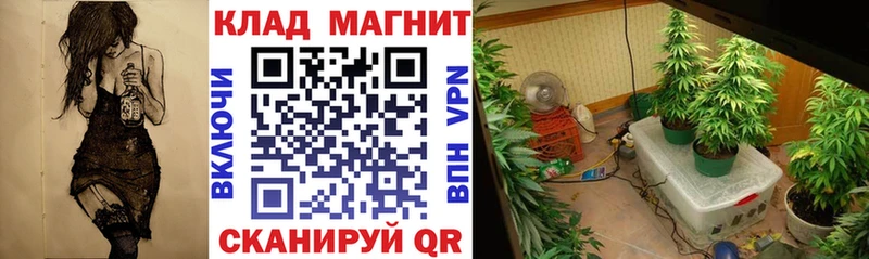 Купить наркотик аптеки Армавир Амфетамин Марихуана КОКАИН Псилоцибиновые грибы A-PVP