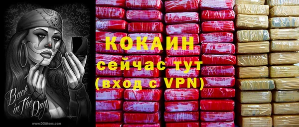 СК Дмитровск