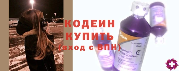 PSILOCYBIN Гусь-Хрустальный