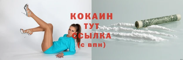 СК Дмитровск