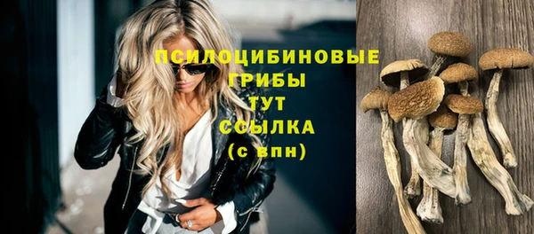СК Гусиноозёрск