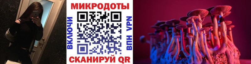 Галлюциногенные грибы Psilocybe  магазин    Армавир 